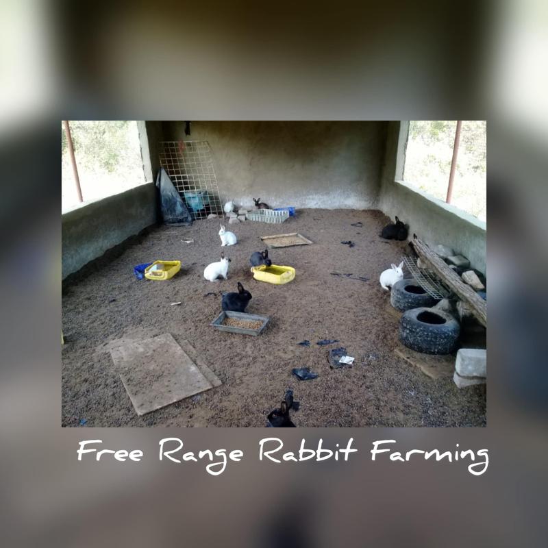 Electrical Project in Maitama