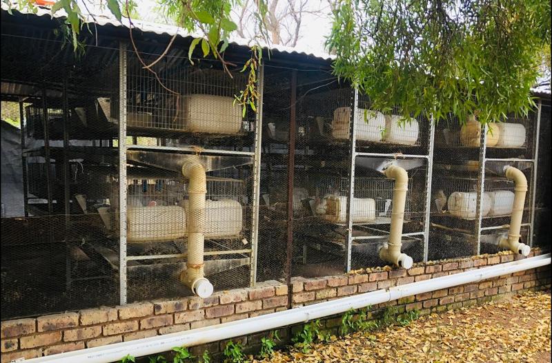 Electrical Project in Maitama